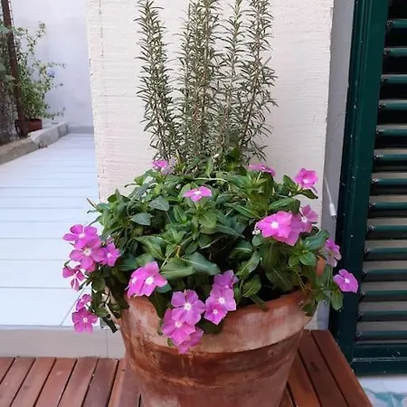 Feriehus Casa Maergilu Pescara