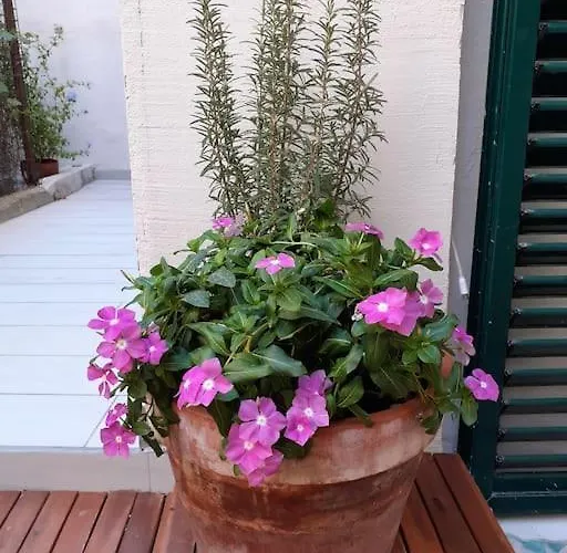 Σπίτι διακοπών Casa Maergilu Πεσκάρα